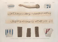 design-is-fine:  Thebes, Hypogeum: Colored fragments, mummy strips and bricks bearing printed hieroglyphs. Egypt. From Description de l’Égypte, 1812. France. NYPL 