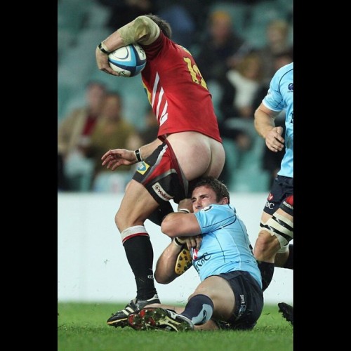 rugbyfootyshorts:  #rugbybum #rugbyshorts