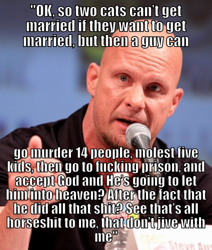 wolf-and-kitten:  majesticmaddox:  shanehelmscom:  keepmegoingbaby:  ANDDDD THATS THE BOTTOM LIIIINEEEEE CAUSE STONE COLD SAID SO! *glass shatters*  Laying it down Stone Cold style.  This man is the fucking best. So much respect.  If you support same-sex