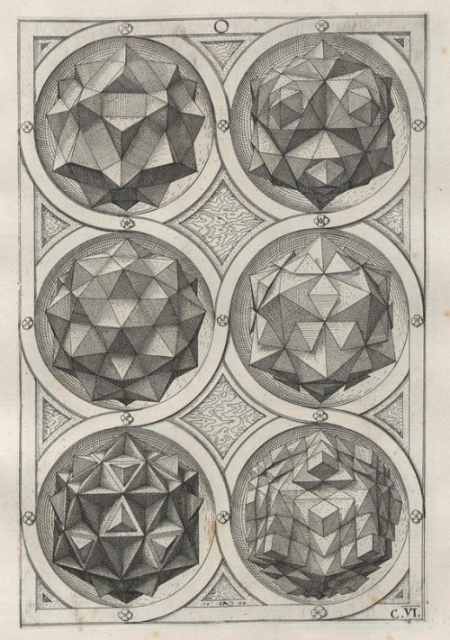 cassiatsura:  perspectiva corporum regularium by Wenzel Jamnitzer 