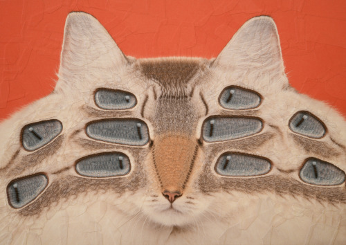 Humor Infuses Exaggerated Features In Lola Dupre’s Meticulously Distorted Collages