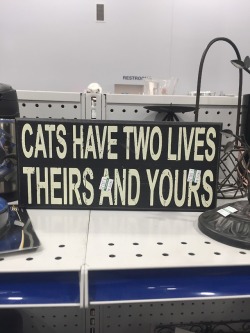 shiftythrifting:thank u goodwill for this fucking ominous prophecy 