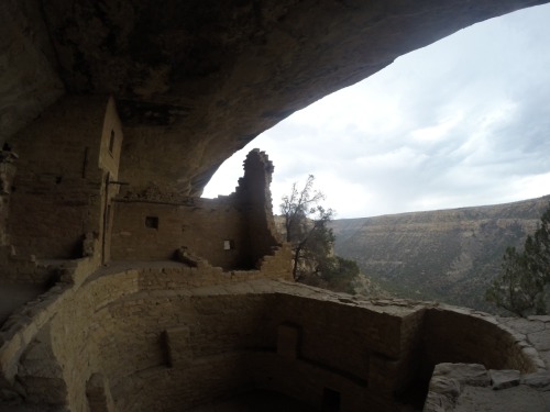 We had about a 4 hour drive from Great Sand Dunes National Park to Mesa Verde National Park. The dir