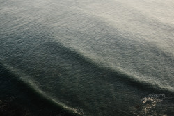 taylormccutchan:I’ve REALLY been in love with texture lately. Here’s the incredible view I had yesterday at Point Reyes