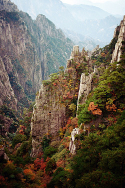 bluepueblo:  Autumn Leaves, China photo via