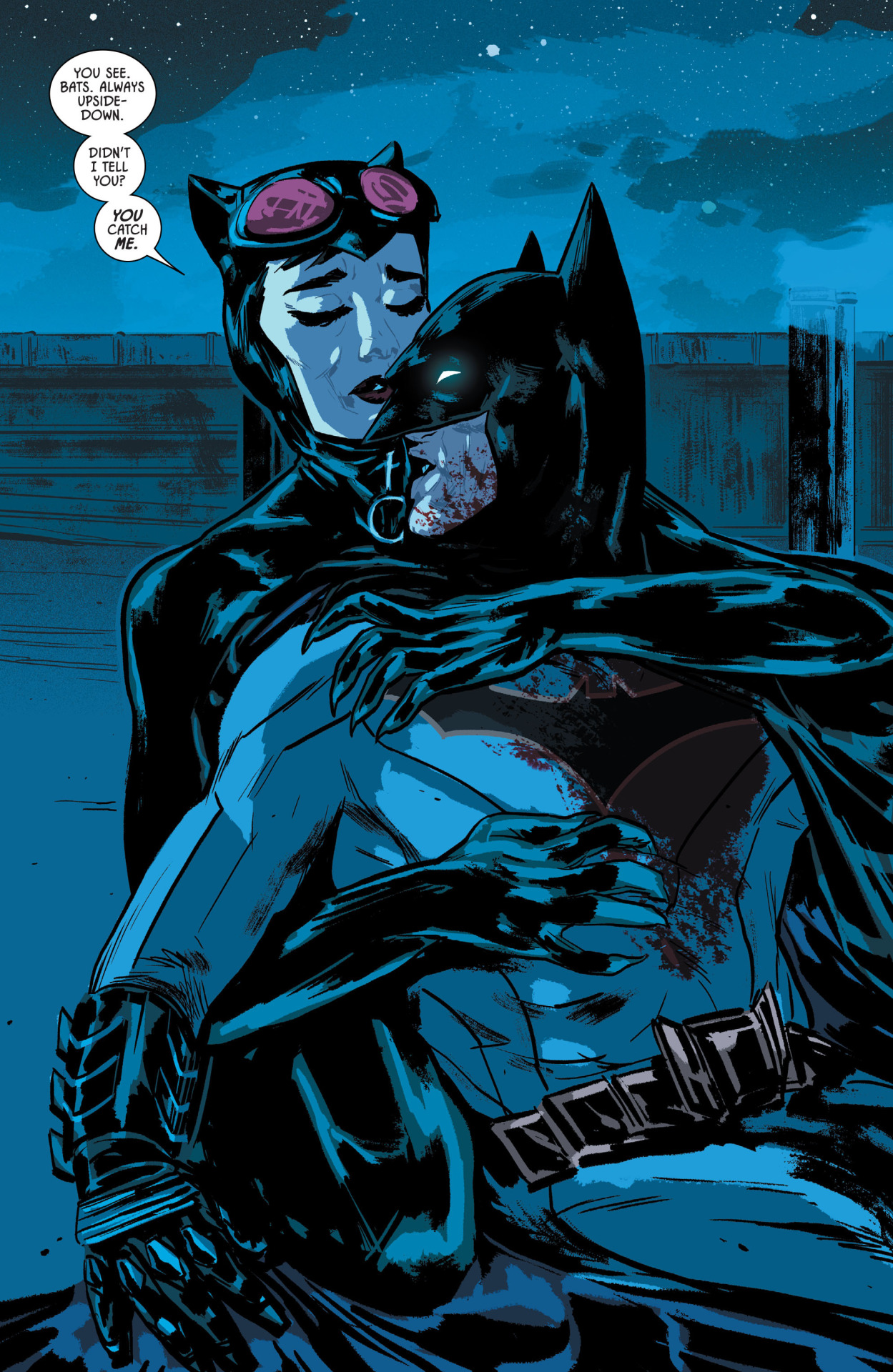 Bat and Cat Romance — A Return to Love: The Rebirth of BatCat.