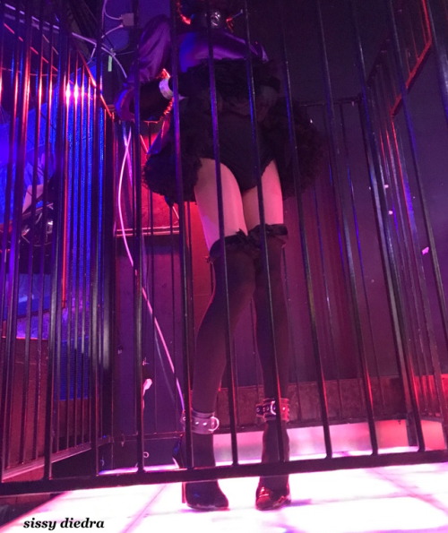 tgirlinthemirror: sissymaid-diedra-transamm: Mistress has me performing in a sex club for her and ot