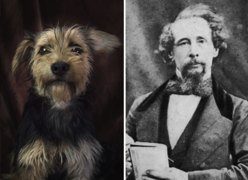 ipoenoticias: iclassicscollection:      Photographer Dan Bannino juxtaposes photographs of dogs that resemble famous writers. His project, which is called #POETICDOG, aims to draw attention to the needs of abandoned dogs in shelters, and to help raise