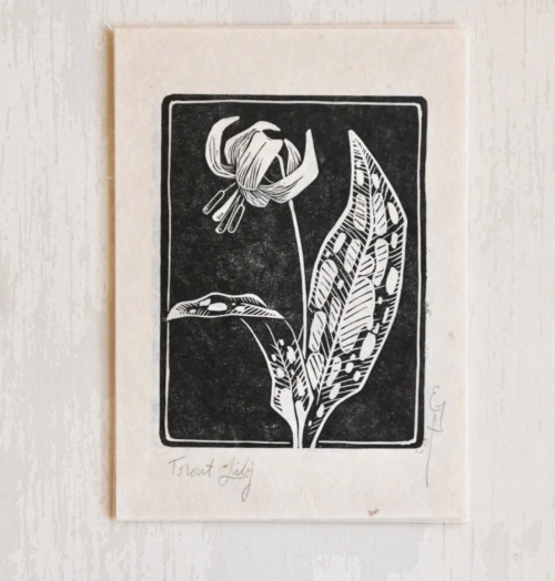 Linocut Wildflower (Trout Lily) by birdsfootstudio
