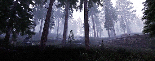 keldornfirecam:Semirealis ENB (x)