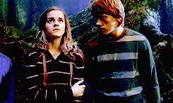 potter-weasley:  get to know me meme: eleven pairings ♦ ron weasley &amp; hermione
