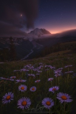 queenmoriarty:oh to be in love under the moon 🌙 
