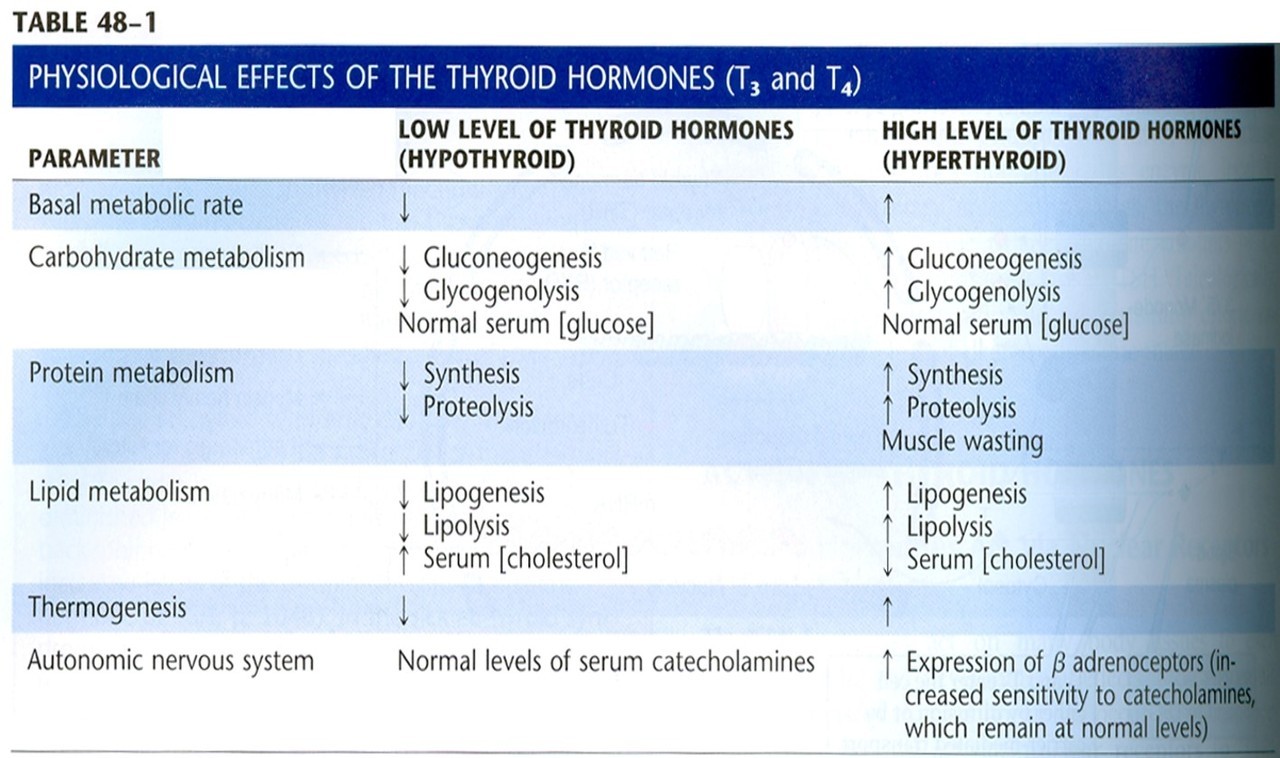 Mcat Memoranda I M Confused By The Row That Talks About Serum