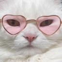 lilac-veinss:  I need an orgasm and 13 hours of sleep please 