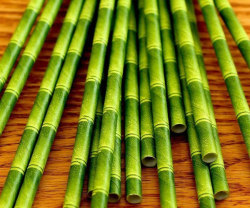 awesomeshityoucanbuy:  Bamboo StrawsUpgrade