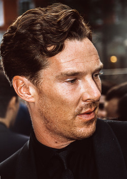 cumberwatching:  moriartysskull:  misshoopers:  Benedict Cumberbatch @ GQ Awards 2014 (September 2) [x]  *_*  Growing a beard for Richard III, apparently…     