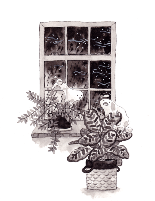 19. Inktober 2016From haunted house to haunted house… plants?