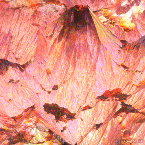 Red Mountain - 220419