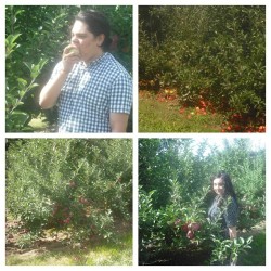 Apple Picking with Michael 😊@wasted_yuth 🍎🍏🍐