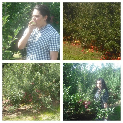 Apple Picking with Michael 😊@wasted_yuth 🍎🍏🍐