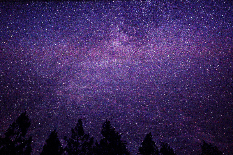 definitelydope:  By Rachel Dowda