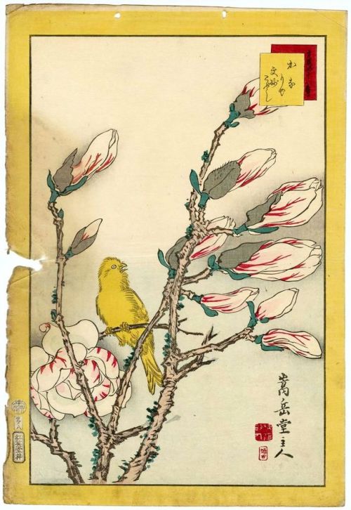 Kachō-ga fu 花鳥 画 譜 :No. 6, White-cheeked Bunting, Wisteria Bean, and Wild Carnation (Hôjiro fu