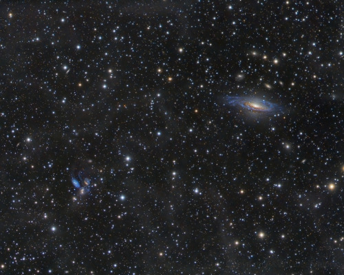 Galaxies in Pegasus : This wide, sharp telescopic view reveals galaxies scattered beyond the stars a