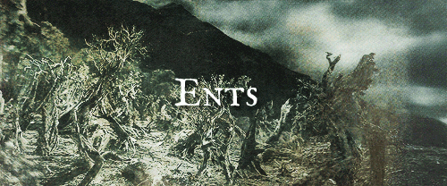 boromirs:The Free Peoples of Middle-earth