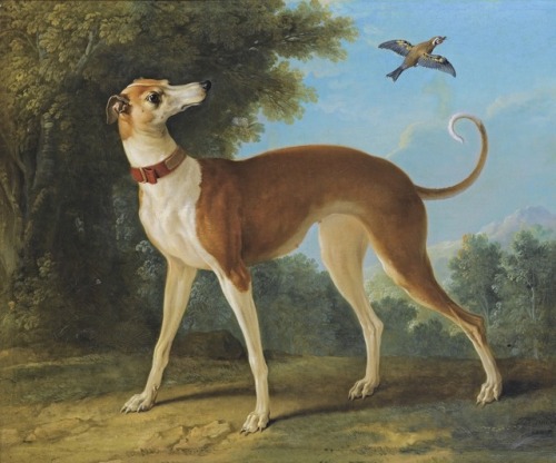 clawmarks:Greyhound in a landscape - Jean-Baptiste Oudry - 1746 - via Sotheby’s 