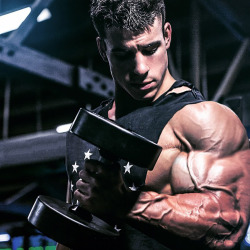 Musclemechanic