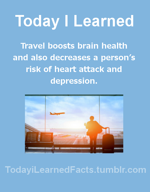 psych2go:todayilearnedfacts:Follow TodayiLearnedFacts for more Daily Facts!Are you travelling anywhe