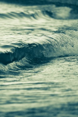 0ce4n-g0d:  The Wave by Paul Simpson 