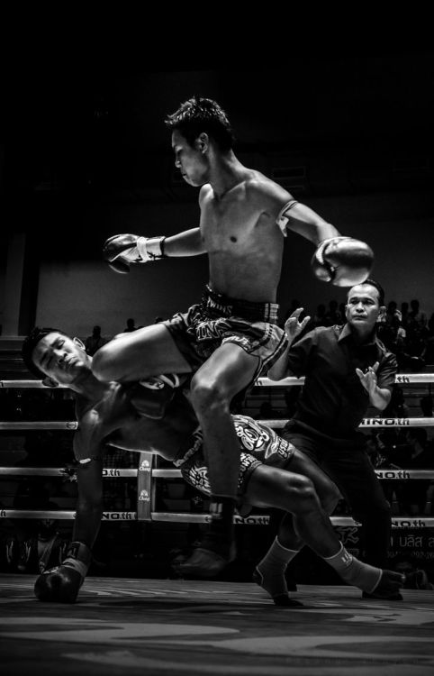 the-history-of-fighting: Muay Thai