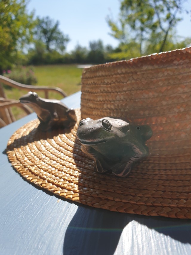 closeup of a smiling metal frog on top of the straw hat brim, it looks very happy to be doing such important work