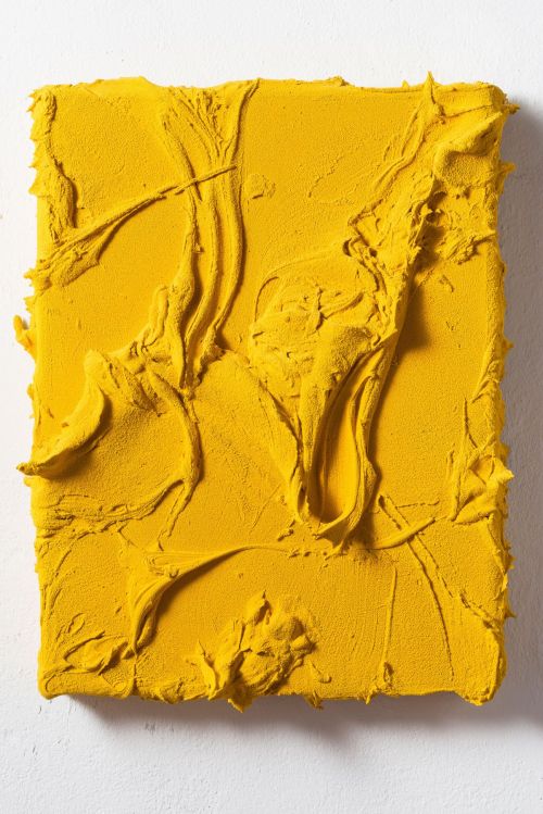 topcat77:  Jason MartinSun Trap, 2014Mixed Media on Velvet