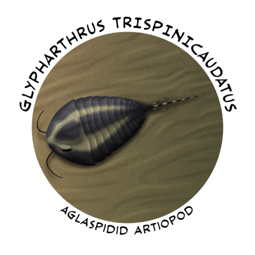 alphynix:Cambrian Explosion #51: Artiopoda – Surprising LookalikesThe aglaspidid artiopodans w