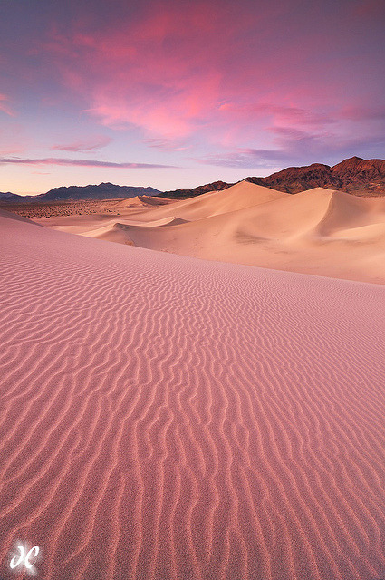 Desert Dream - Ibex Sand Dunes, Death Valley National Park by Joshua Cripps on Flickr.