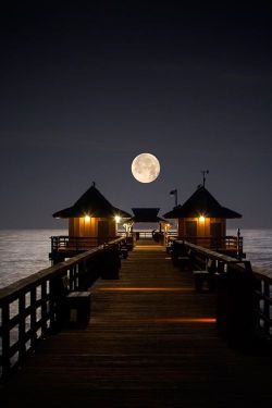 travellightboxblog:  beautymothernature:  Naples Pier Naples, share moments  Bucket List It!!! 