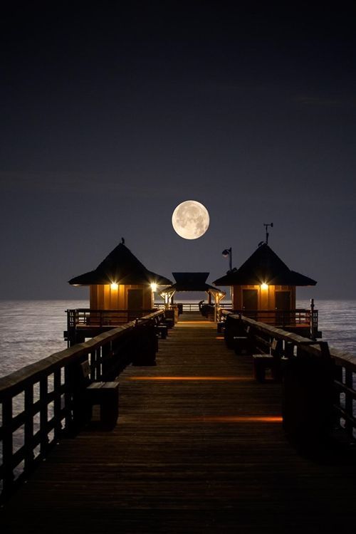travellightboxblog:  beautymothernature:  Naples Pier Naples, share moments  Bucket List It!!! 