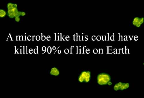 The microbe that killed everything One of the most intriguing mysteries in geoscience is the mass ex