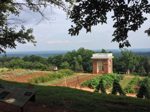 Pictures I took at Thomas Jefferson&rsquo;s sick ass crib, Monticello, the other day.  They