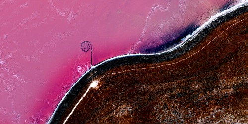 dailyoverview:
“ Spiral Jetty is an earthwork sculpture by Robert Smithson, consisting of a 1,500-foot-long (460 m), 15-foot-wide (4.6 m) counterclockwise coil jutting from the northeastern shore of the Great Salt Lake in Utah, USA. Smithson...