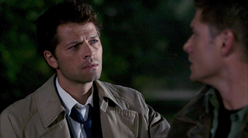 Gifs made by @foxthefanboi“Why did Y/N hide this from me Cas?”“Because you’d have try to stop what h