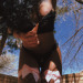 thecasseejoseph:angles 