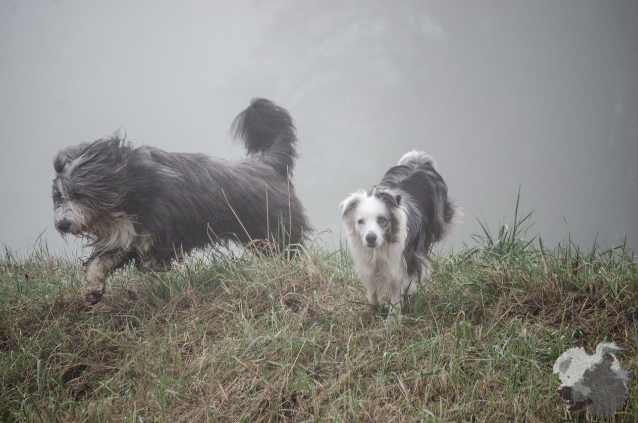cococool:  Coco &amp; Imko 