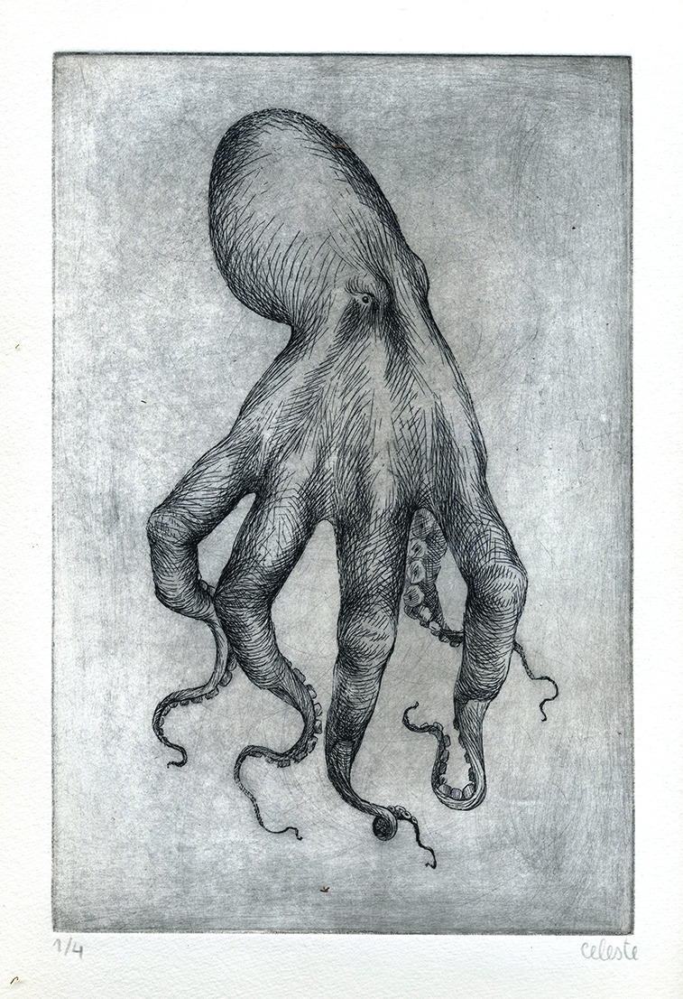 fer1972:  Bestiarium byCeleste Ciafarone