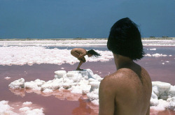 rnurk:  aclockworkorange: Yeni y Nan, El agua, La salina, La tierra (Acciones corporales), 1978/1986