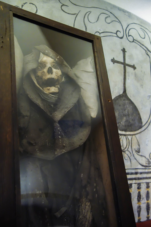 allthesaintsyoushouldknow:  The Carmelite Monastery of San Ángel Mexico City, Mexico  I’m currently working on a full piece for Atlas Obscura on theses guys but I couldn’t wait to share the photos. These are naturally occurring mummies on display