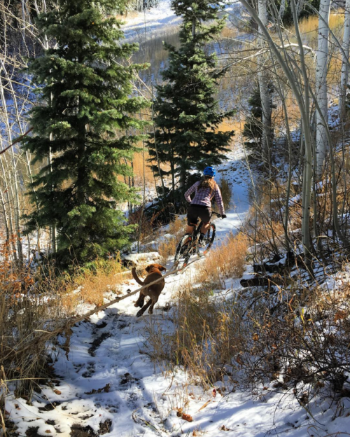parkcitymtb: Follow Park City Mountain Biking on Instagram イヌコワイ