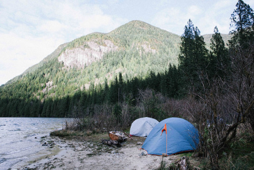 vhord:  vhord:  IMG_6923 by ben giesbrecht on Flickr.  strictly nature 